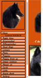 Mobile Screenshot of kennelcichla.com